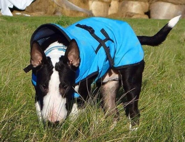 Zero DC Regntäcke Turkos