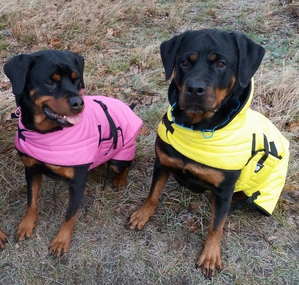 Zero DC Regntäcke Turkos