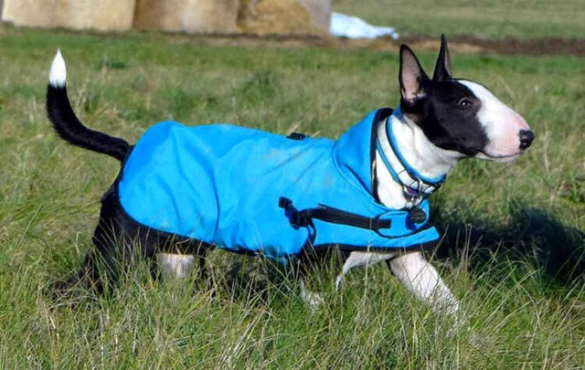 Zero DC Regntäcke Turkos