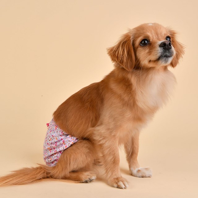 Wildflower Sanitary Pink Tikskydd