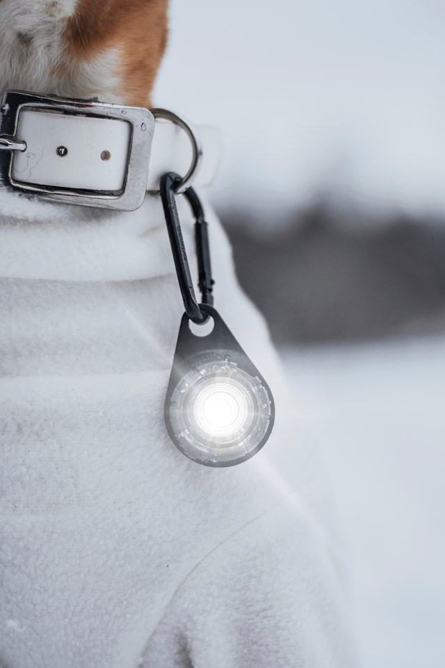 Orbiloc Safety Light Vit