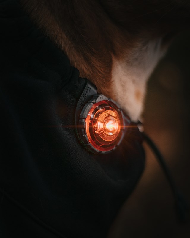 Orbiloc Safety Light Amber