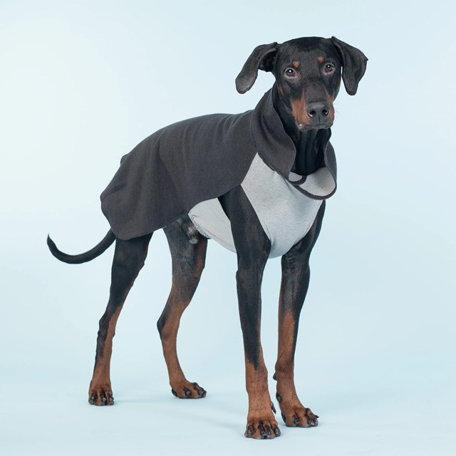 Recovery Winter Shirt - Grå Hundtröja i ullmix