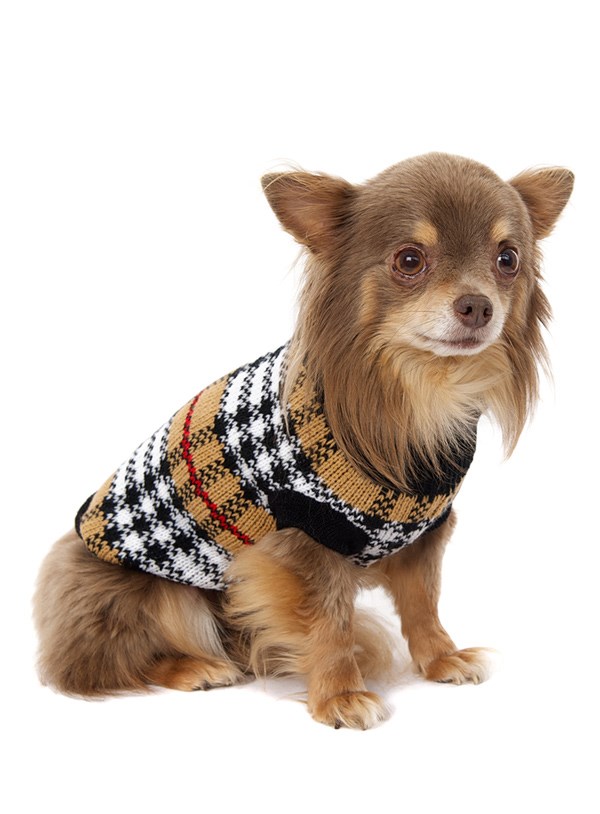 Autumn - Stickad Hundtröja