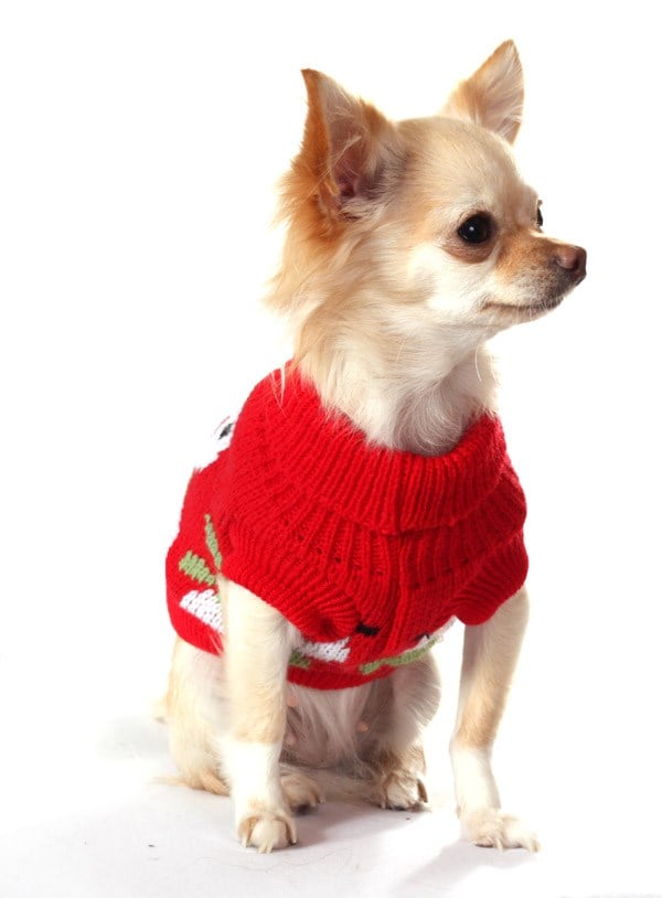 Snowman Röd - Stickad Hundtröja