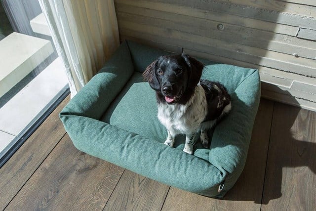 Fantail Snug Ortopedisk Hundbädd - Botanical Green