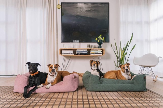 Fantail Snooze Ortopedisk Hundbädd - Iconic Pink