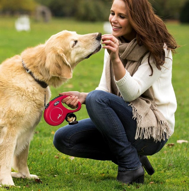 Flexi Multi Box Godis- & bajspåsehållare - Svart