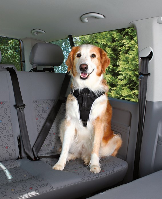 Bilsele Dog Protect - Svart