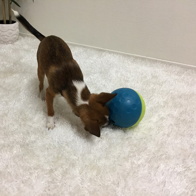 Nina Ottosson Treat Tumble Aktiveringsleksak