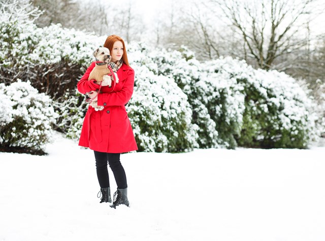 Brown Waffle Textured Stickad Hundtröja