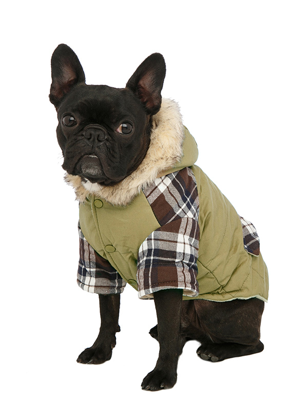 Bremar Tartan Trimmed - Hundjacka