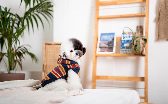 Lennon Navy - Hundtröja