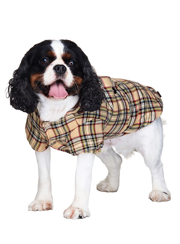 Brown Tartan Coat Hundjacka