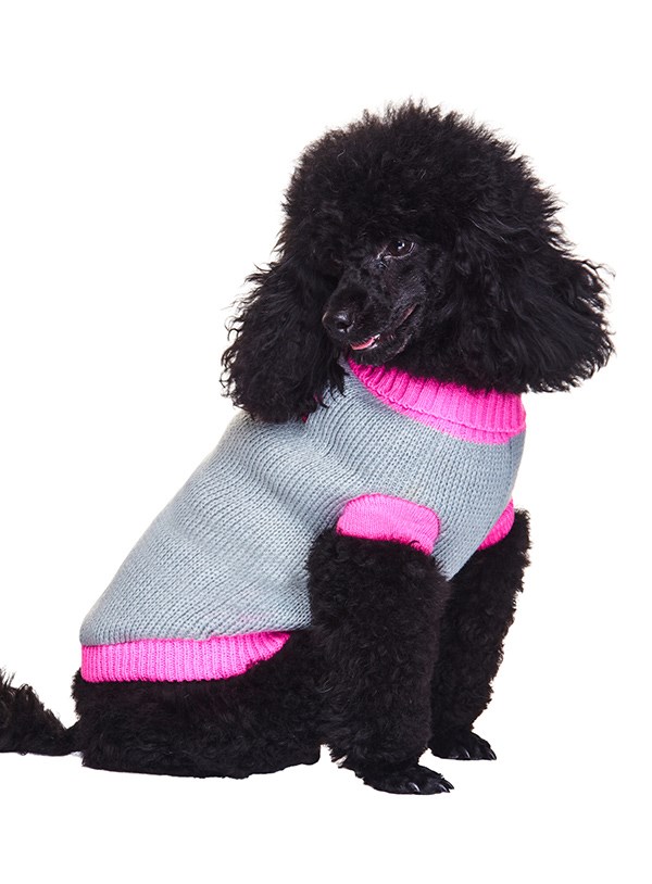 Pink Paw Sweater - Stickad Hundtröja