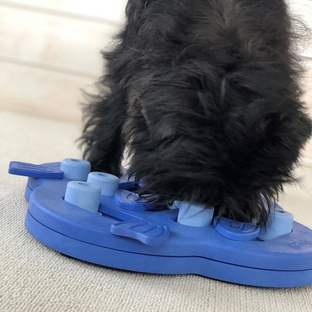 Nina Ottosson Hide N Slide Komposit Lila Aktiveringsleksak