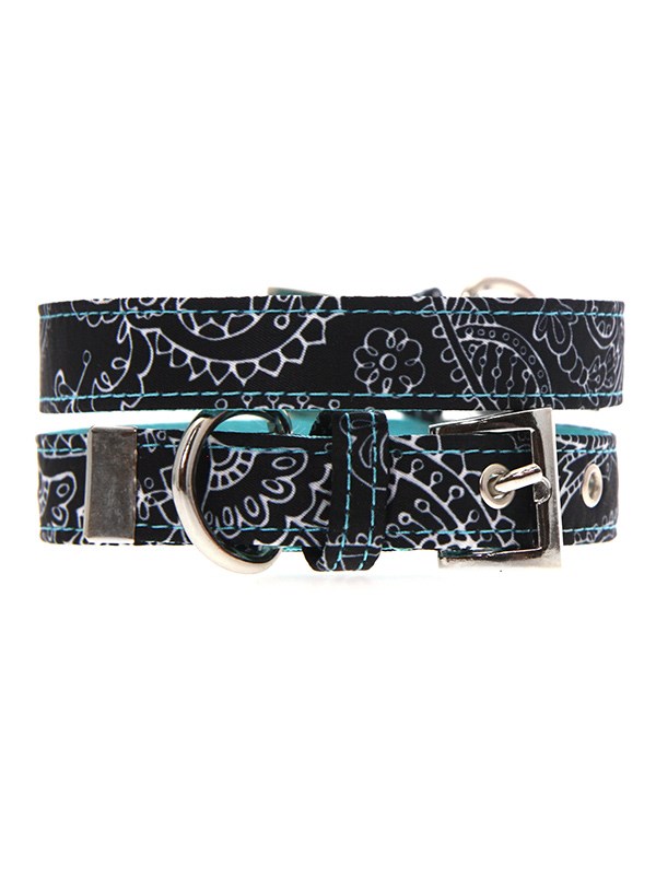 Black & Blue Paisley Hundhalsband