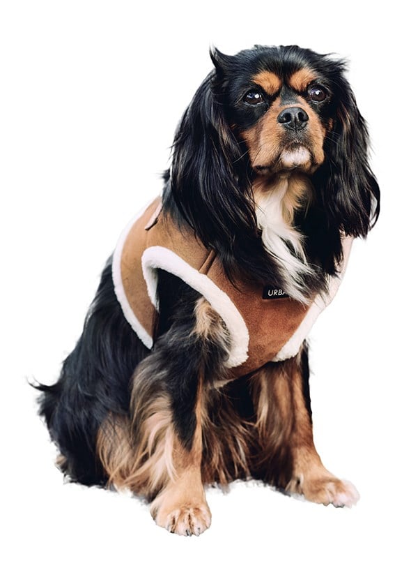 Luxury Brown & Cream Faux Shearling Hundsele