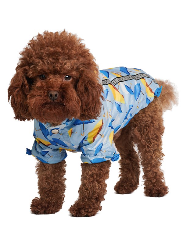 Umbrella Rainstorm Regntäcke