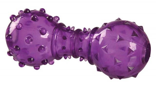 Dog Activity Snack Apport