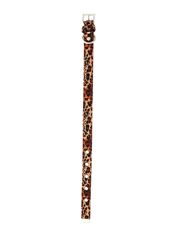 Cheetah Print HUNDHALSBAND