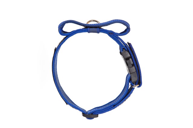 Julius K9 SuperGrip Halsband Blå