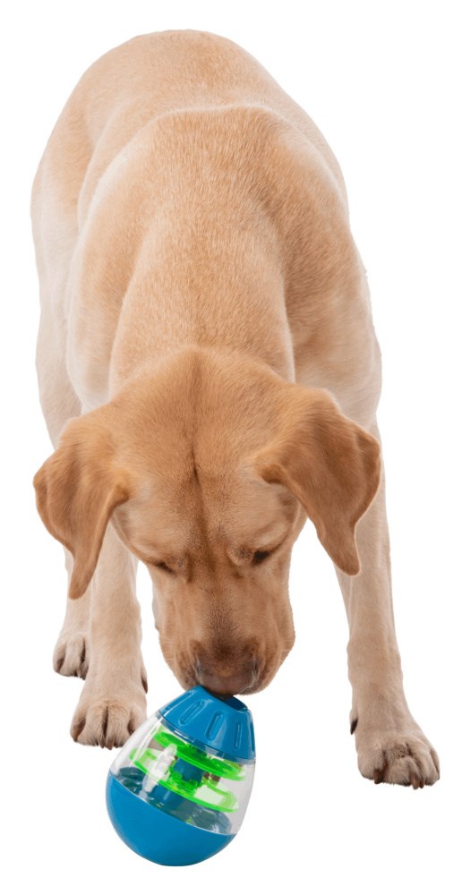 Roly Poly Snacksägg - Aktivitetsleksak