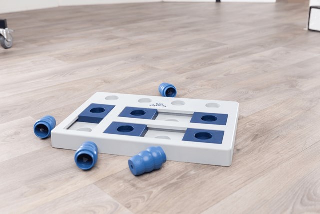 Schack - Aktiveringsleksak