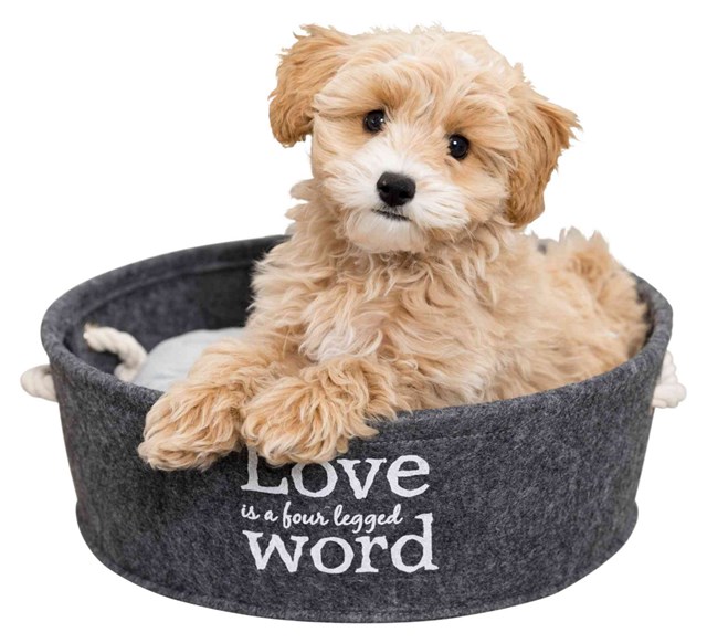 Lian Hundbädd - Grå