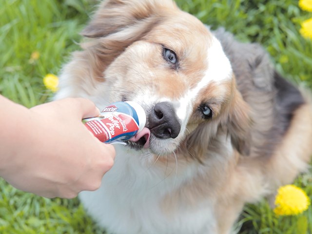 PREMIO Baconpaté Tub 110 g