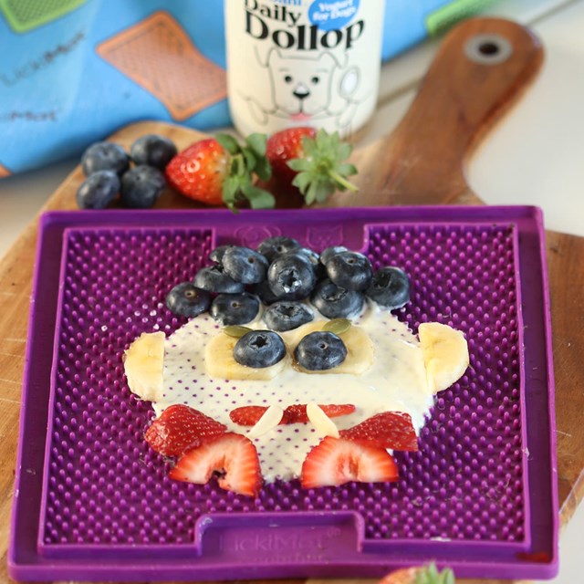 Lickimat Soother Hundskål/Slickmatta Orange 20x20