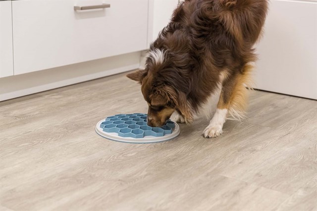 Slow Foderplatta Matskål - Bivax Blå