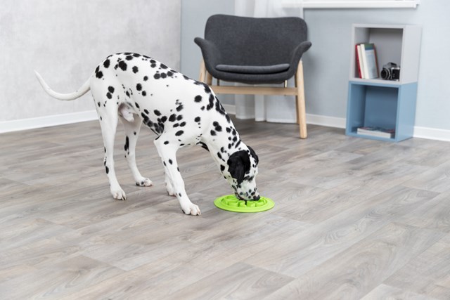 Trixie Slow Feed Fodermatta