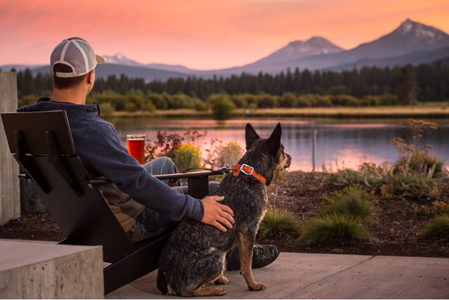Frisco Läderhalsband