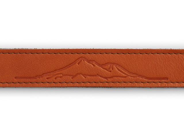 Frisco Läderhalsband