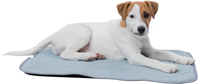 Junior Fresh Kyldyna - Mint