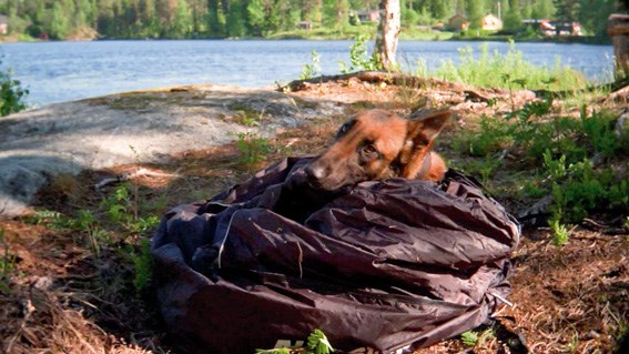 Non-Stop fodrad Värmesäck - multifunktionell bädd