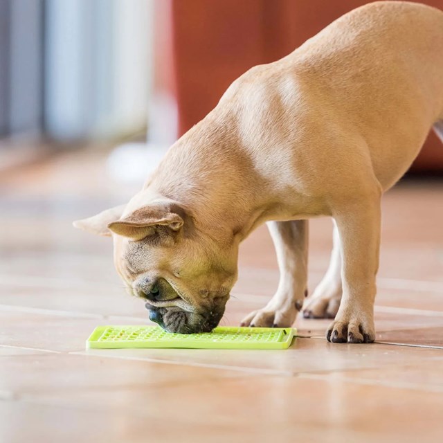 LICKIMAT BUDDY HUNDSKÅL/SLICKMATTA Grön 20x20