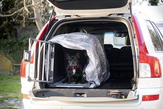 PetNation Silverduk 2,1 x 1,8 m