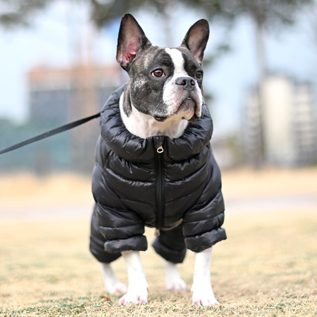 Ultra Light Jumpsuit B Svart Vinteroverall