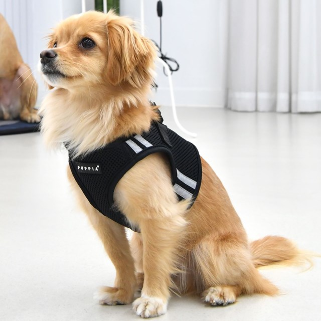 Soft Vest PRO Svart - Hundsele