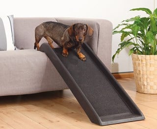 Petwalk Ramp 38x100 Cm