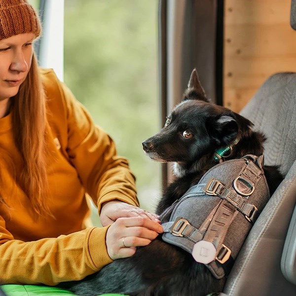 Hurtta Travel ECO Krocktestad Bilsele - Blackberry