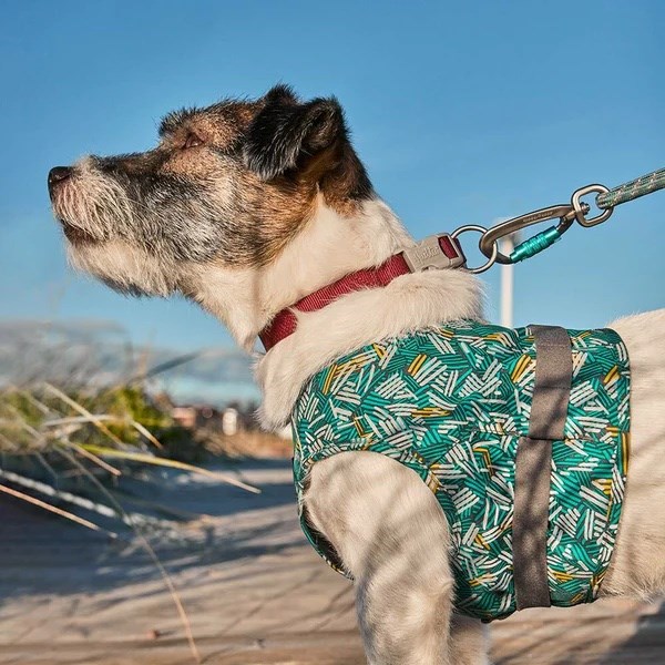 Hurtta ECO Safety Wrap - Reflexväst