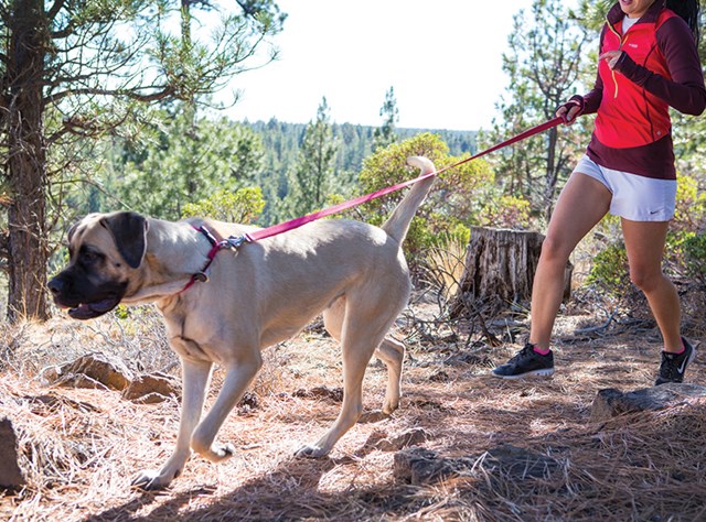 Flat Out Multifunktionellt Koppel - Röd