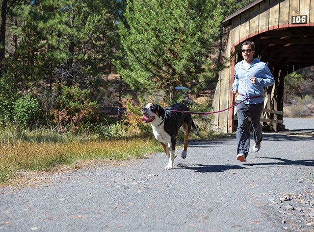 Roamer Leash Red - Large