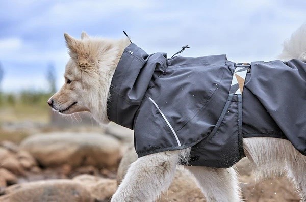 Hurtta ECO Mudventure Regntäcke - Blackberry