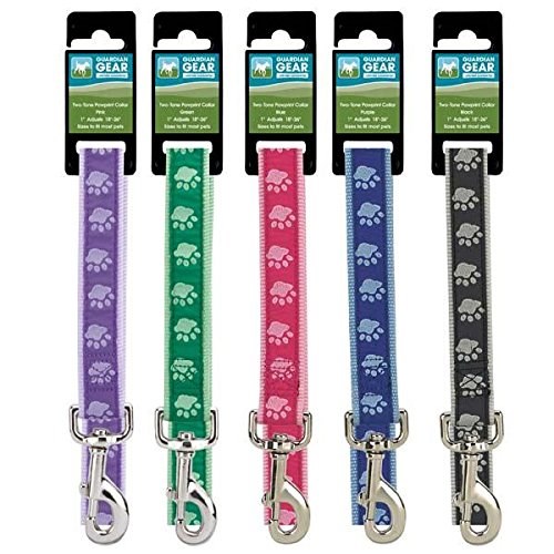 GG Pawprint Hundkoppel - Grön