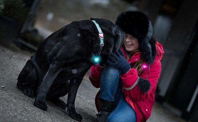 Orbiloc Safety Light Rosa