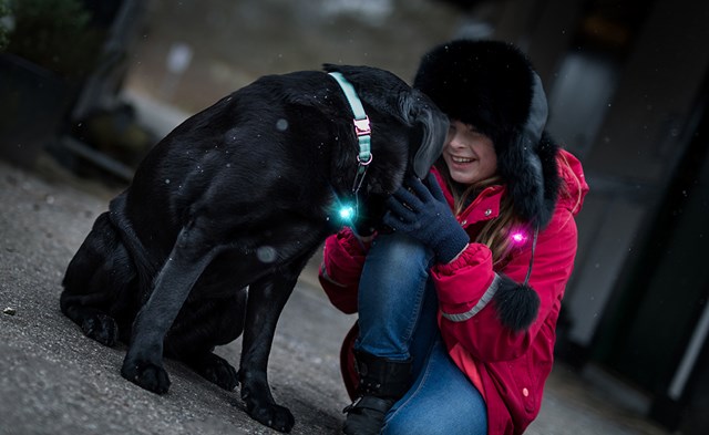 Orbiloc Safety Light Rosa